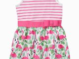 Gymboree Birthday Girl Outfit Flamingo Dress Mingos Pinecones Flamingo Dress