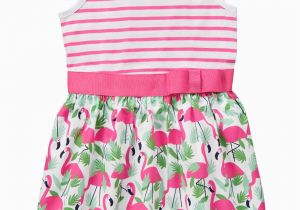 Gymboree Birthday Girl Outfit Flamingo Dress Mingos Pinecones Flamingo Dress