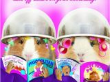 Hairdresser Birthday Card Funny Guinea Pig Birthday Card Let Off Steam Hairdressers