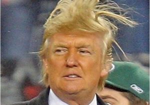 Hairdresser Birthday Meme Donald Trump Wild Hair I 39 M Just Hair to Wish You A Happy