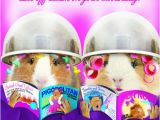 Hairdresser Birthday Meme Funny Guinea Pig Birthday Card Let Off Steam Hairdressers