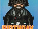 Hallmark Star Wars Birthday Cards Star Wars Darth Vader Dog Birthday Card Greeting Cards