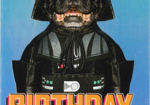 Hallmark Star Wars Birthday Cards Star Wars Darth Vader Dog Birthday Card Greeting Cards