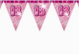 Happy 13th Birthday Banner Pink 13th Birthday Party Pink themed Supplies Party Delights
