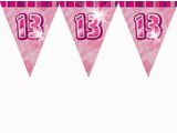 Happy 13th Birthday Banner Pink 13th Birthday Party Pink themed Supplies Party Delights