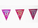 Happy 13th Birthday Banner Pink Happy 13th Birthday Flag Bunting Age Girls Pink Teenager