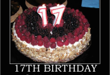 Happy 17th Birthday Quotes Funny 17th Birthday Quotes Funny Quotesgram