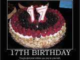 Happy 17th Birthday Quotes Funny 17th Birthday Quotes Funny Quotesgram