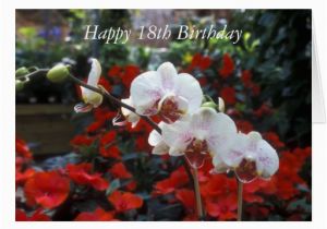 Happy 18th Birthday Flowers Happy 18th Birthday Flower Card Zazzle