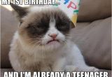 Happy 1st Birthday Meme 4 4 2013 Tard 39 S 1st Birthday Worst Year Of My Life Misc