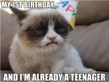 Happy 1st Birthday Meme 4 4 2013 Tard 39 S 1st Birthday Worst Year Of My Life Misc