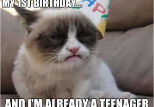 Happy 1st Birthday Meme 4 4 2013 Tard 39 S 1st Birthday Worst Year Of My Life Misc