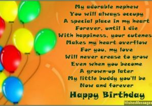 Happy 1st Birthday to My Nephew Quotes Birthday Poems for Nephew Wishesmessages Com