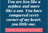 Happy 1st Birthday to My Nephew Quotes Happy Birthday Nephew 35 Awesome Birthday Quotes He Will
