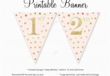 Happy 2 Birthday Banners Happy Birthday Banner Printable Blush Pink Gold Glitter