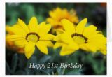 Happy 21st Birthday Flowers Happy 21st Birthday Flower Card Zazzle