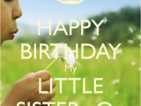 Happy 21st Birthday Little Sister Quotes Happy Birthday Little Sister Quotes Quotesgram