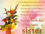 Happy 21st Birthday Little Sister Quotes Happy Birthday My Little Sister Pictures Photos and