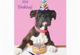 Happy 31st Birthday Cards Happy 31st Birthday Boxer Dog Greeting Card Zazzle