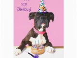 Happy 31st Birthday Cards Happy 31st Birthday Boxer Dog Greeting Card Zazzle