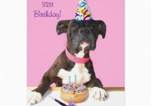 Happy 31st Birthday Cards Happy 31st Birthday Boxer Dog Greeting Card Zazzle
