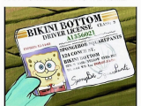 Happy 31st Birthday Meme Happy 31st Birthday to the Homie Bikini Bottom Driver