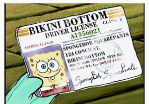 Happy 31st Birthday Meme Happy 31st Birthday to the Homie Bikini Bottom Driver