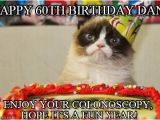 Happy 60th Birthday Memes Happy 60th Birthday Dan Grumpy Cat Birthday Meme On Memegen