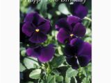 Happy 70th Birthday Flowers Happy 70th Birthday Flower Card Zazzle Ca