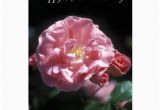 Happy 75th Birthday Cards Happy 75th Birthday Flower Card Zazzle