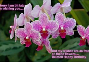 Happy Belated Birthday Flowers Belated Birthday Quotes Wishes are as Fresh as these