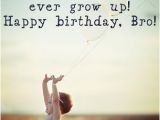 Happy Birthday Baby Brother Quotes 22 Fantastic Brother Birthday Wishes Meme Wallpaper Images