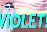 Happy Birthday Banner Printable Violet Happy Birthday Violet Epic Cat Happy Birthday song