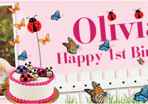 Happy Birthday Banner Sainsburys Happy 1st Birthday butterfly Ladybird Banner theme