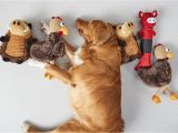 Happy Birthday Banners Kmart Dog toys Kmart Nz