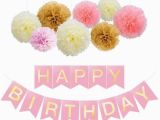 Happy Birthday Banners with Flowers Happy Birthday Banner Tissue Paper Pom Poms Flower for