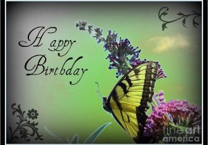 Happy Birthday butterfly Quotes Birthday butterfly Quotes Quotesgram