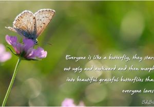 Happy Birthday butterfly Quotes butterfly Quotes for Birthday Image Quotes at Relatably Com