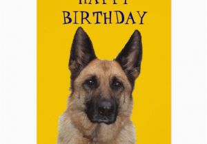 Happy Birthday Card In German German Shepherd Happy Birthday Greeting Card Zazzle