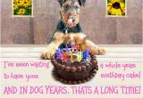 Happy Birthday Cards Dog Lovers Birthday Quotes for Dog Lovers Quotesgram