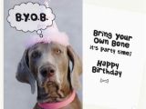 Happy Birthday Cards Dog Lovers Birthday Wishes for A Dog Lover Wishesgreeting