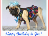 Happy Birthday Cards Dog Lovers Happy Birthday Muck Happy Birthday Section Noname Zone