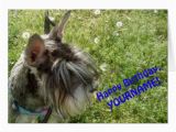 Happy Birthday Cards Dog Lovers Schnauzer Dog Lover Greeting Card Happy Birthday Zazzle