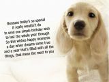 Happy Birthday Cards for Dogs Dog Birthday Quotes Quotesgram
