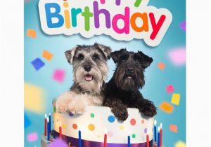 Happy Birthday Cards for Dogs Happy Birthday Card Two Funny Miniature Schnauzer Dogs In