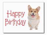 Happy Birthday Cards for Dogs Happy Birthday Wishes with Dog Page 10