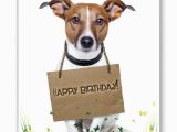 Happy Birthday Cards for Dogs Happy Birthday Wishes with Dog Page 9