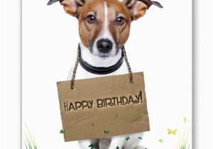 Happy Birthday Cards for Dogs Happy Birthday Wishes with Dog Page 9