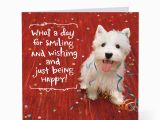 Happy Birthday Cards for Dogs Smiling Happy Dog Birthday Cards Hallmark Card Pictures