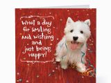 Happy Birthday Cards for Dogs Smiling Happy Dog Birthday Cards Hallmark Card Pictures